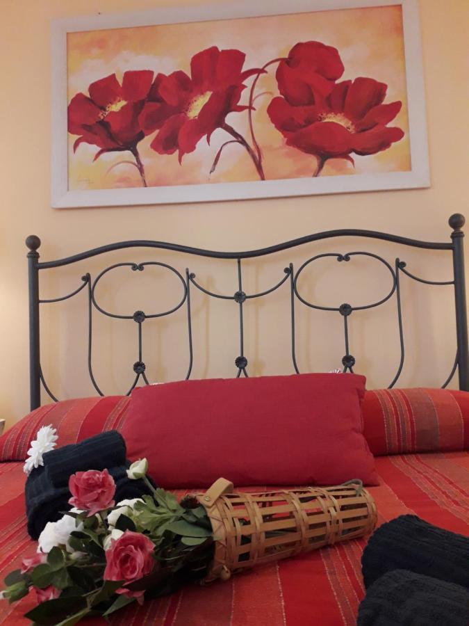 La Chicca Apartment Pisa Bagian luar foto