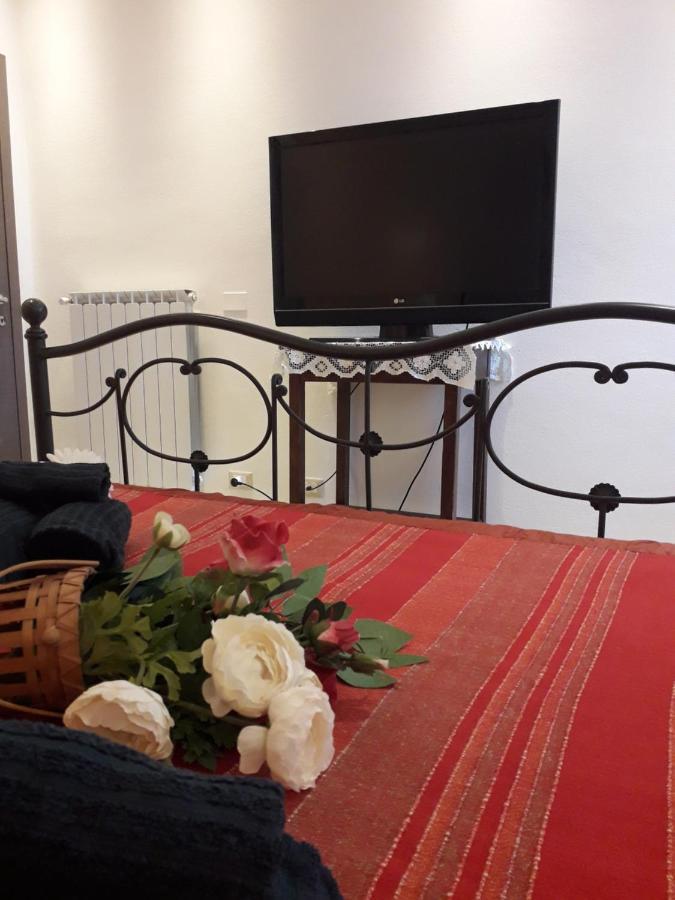 La Chicca Apartment Pisa Bagian luar foto